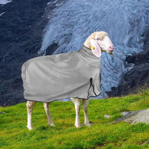 Sweetude 2 Pieces Sheep Blanket with Mesh Butt and Adjustable Belly Strap, Lightweight Summer Mesh Covers Breathable Sheep Cover Sheep Care Blankets for Show Sheep Lamb (Purple, Gray,130-160lbs) in Saudi Arabia