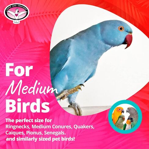 Super Bird Creations SB963 Twirl N' Whirl Bird Toy, Medium Bird Size, 6.5" x 4" in Saudi Arabia