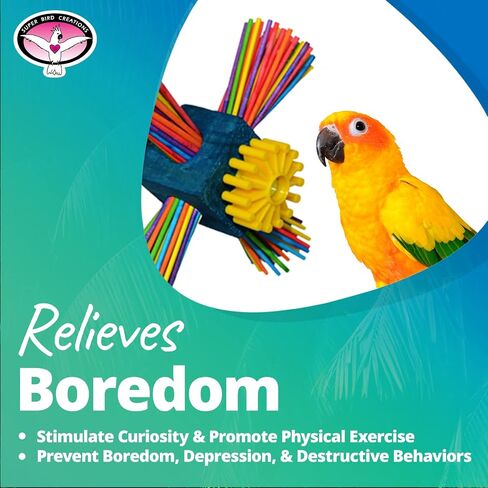 Super Bird Creations SB963 Twirl N' Whirl Bird Toy, Medium Bird Size, 6.5" x 4" in Saudi Arabia