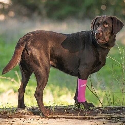 Walkabout Compression Sleeve for Dogs, Canine Leg Brace to Heal Wounds, Hygromas, Treat Arthritis and Injury with 360° Support Sleeve for Pain Relief, and Elbow Pad Protection (Medium 3-4", Pink) in Saudi Arabia