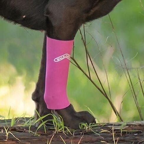 Walkabout Compression Sleeve for Dogs, Canine Leg Brace to Heal Wounds, Hygromas, Treat Arthritis and Injury with 360° Support Sleeve for Pain Relief, and Elbow Pad Protection (Medium 3-4", Pink) in Saudi Arabia