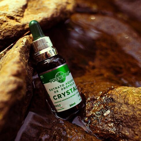 Polenectar 5 Bottles Green Propolis Crystal – Aqueous Solution Extract 30ML in Saudi Arabia