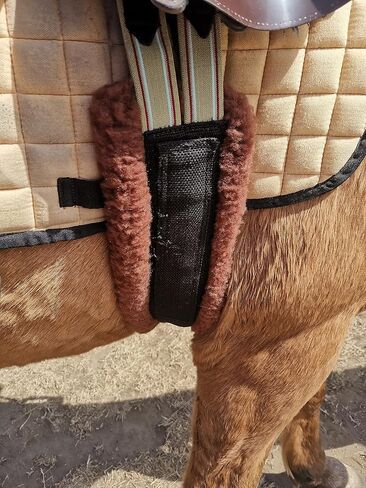 Fleece Padded Girth with Heavy Duty Elastic Belts & Stainless Hardware, Multi Colors, Multi Sizes in Kuwait