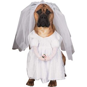 Rubie's Walking Bride Pet Costume, Small in Kuwait