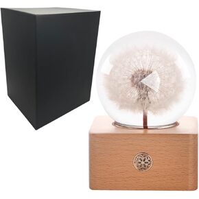 Ellington Gifts Real Preserved Flower Glass Ball Night Light | Dimmable Battery LED, Real Eternal Flowers, Birthday Gifts for Women Mom Girlfriend, Special Anniversary, Valentine's Day (Dandelion) in Saudi Arabia