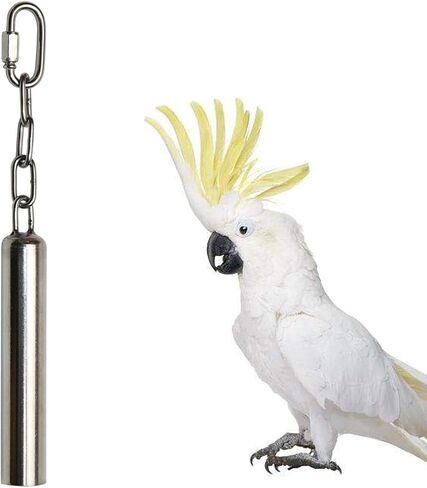 Stainless Steel Bell Bird Toys Chew Toy for Parrot, Macaw, African Greys, Small Cockatoo, Parakeet, Cockatiels Heavy Duty Bird Cage Stand Toys (L-8.45 inch) in Saudi Arabia