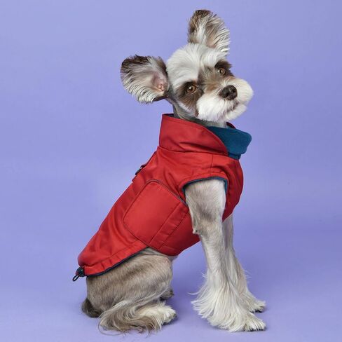Puppia Tomas سترة شتوية - أحمر - M in Kuwait
