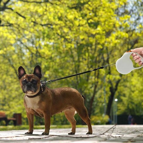 PURRINI Retractable Dog Leash, 10 FT Dog Walking Leash for Medium Small Dogs up to 40 lbs, No Tangle, Avocado Green in Saudi Arabia