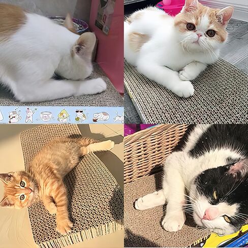 6 عبوات من وسائد خدش القطط، ورق مقوى متين لخدش القطط، أدوات خدش للقطط مزدوجة الجوانب للعب النوم للقطط ومخالب الطحن in Kuwait