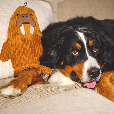 SmartPetLove Snuggle Puppy Tender-Tuffs You-Fill - لعبة الفظ الهادئة بدون صرير 2 في 1 - لعبة زجاجة مياه مجعدة للكلب ومريحة عند ملئها in Kuwait