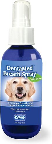 Davis DentaMed Breath Spray, 4 oz (DBSP04) in Saudi Arabia
