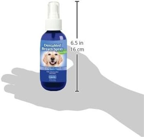 Davis DentaMed Breath Spray, 4 oz (DBSP04) in Saudi Arabia