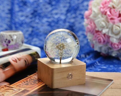 هدايا إلينجتون مصباح ليلي على شكل كرة زجاجية على شكل زهرة حقيقية | بطارية LED قابلة لتعديل الضوء، زهور أبدية حقيقية، هدايا عيد ميلاد للنساء الأم والصديقات، الذكرى السنوية الخاصة، عيد الحب (الهندباء) in Saudi Arabia