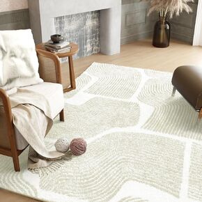 Zen Garden Area Rug - Ultra Soft Area Rug 3x5, Non Slip, Stain Resistant Living Room Rug, Washable Area Rugs for Living Room, Rugs for Bedroom (Beige, 3x5)