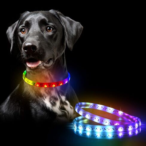 طوق للكلاب بإضاءة LED - أطواق للكلاب قابلة لإعادة الشحن عبر USB، 15 تأثيرات ضوئية تتوهج في الظلام، طوق مقاوم للطقس يناسب الكلاب الصغيرة والمتوسطة والكبيرة، يحافظ على سلامة حيواناتك الأليفة ورؤية عالية in Kuwait