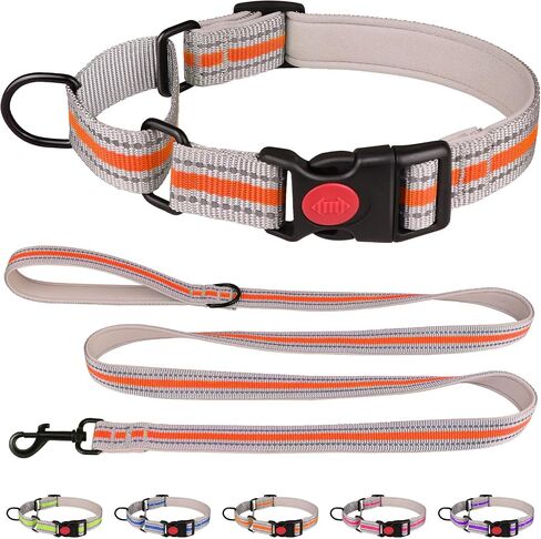 Martingale Collar for Dogs,Soft Neoprene Padded Reflective Martingale Collar and Leash Set Safety Buckle Nylon Martingale Collar for Small Dogs(Orange&S) in Saudi Arabia