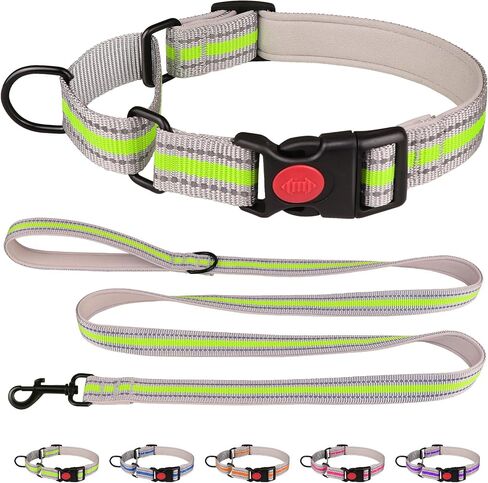 Martingale Collar for Dogs,Soft Neoprene Padded Reflective Martingale Collar and Leash Set Safety Buckle Nylon Martingale Collar for Small Dogs(Orange&S) in Saudi Arabia