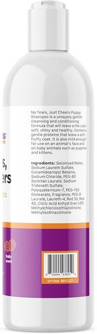 الانطباعات الأولى لا دموع، شامبو الجرو فقط - بلا دموع، خالي من الصابون، رائحة الفواكه - شامبو القطط المثالي وأساسيات الجرو للكوميديين الصغار ذوي الفراء - 16 أونصة in Kuwait