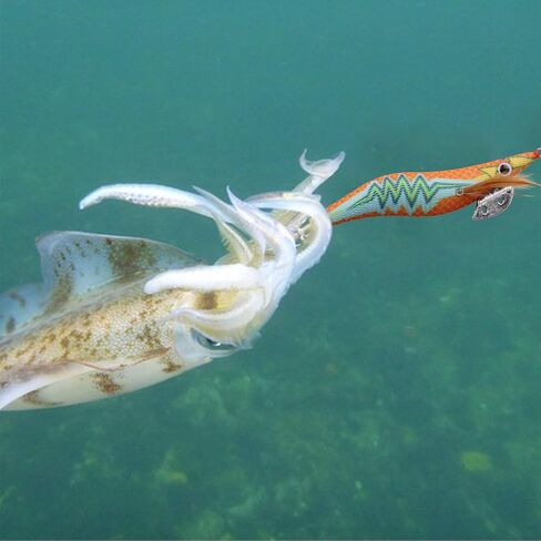10pcs/Box Fishing Lures Squid Jig Shrimp Artificial Fishing Bait Lures Luminous Glow Body Bionic Prawn Bait Octopus Cuttlefish Shrimp in Saudi Arabia