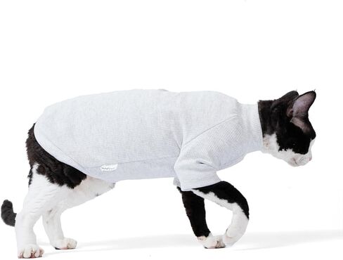 Sphynx Cat Soft Cotton Shirt, Fall Winter Kitten Clothes, Cornish Rex Devon Cat pajamas, Hairless Pet Clothes,Pet Cat Warmer (Small, Blue) in Kuwait