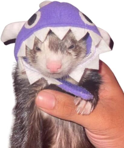 Ferret Costume Cartoon Animal Shape Pet Cap Hamster Guinea Pig Party Cosplay Animal Ear Cap Headwear Kitten Cat Hat Photo Booth (Bunny) in Saudi Arabia