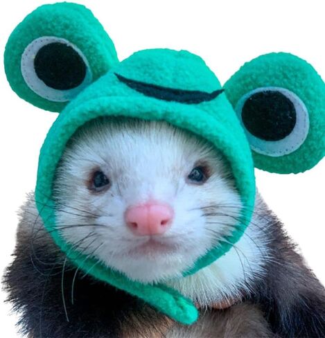 Ferret Costume Cartoon Animal Shape Pet Cap Hamster Guinea Pig Party Cosplay Animal Ear Cap Headwear Kitten Cat Hat Photo Booth (Bunny) in Saudi Arabia