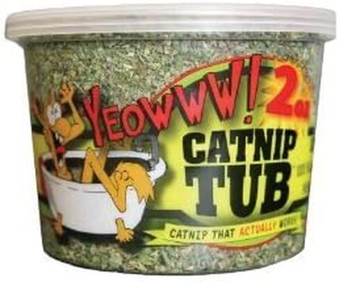 يوووو! حوض النعناع البري العضوي 100% من Cp؟ 2 أونصة مزروعة عضويًا (عبوتان) in Kuwait