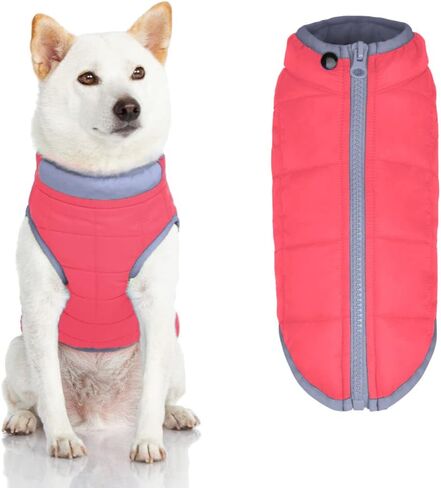 Gooby Comfort Jacket - Warm Water Resistant Zip Up Dog Jacket - Small and Medium Dogs in Saudi Arabia