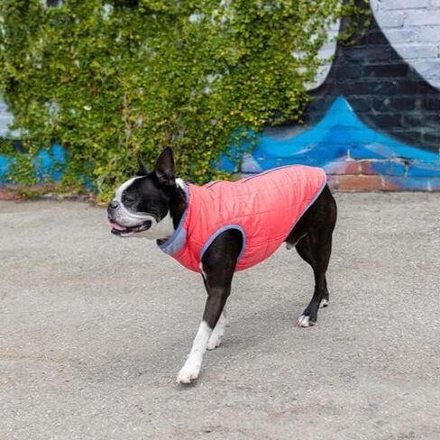 Gooby Comfort Jacket - Warm Water Resistant Zip Up Dog Jacket - Small and Medium Dogs in Saudi Arabia