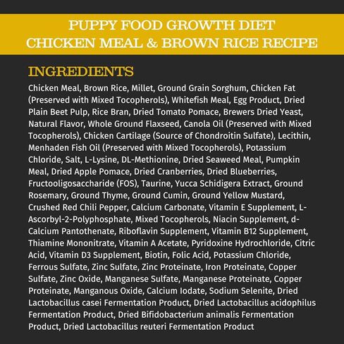 بلاكوود أغذية الحيوانات الأليفة الجرو الجاف للكلاب نظام غذائي النمو [طعام طبيعي للكلاب لجميع سلالات وأحجام الجراء]، وجبة الدجاج وصفة الأرز البني، كيس 30 رطل، وجبة الدجاج والأرز البني طعام الجراء in Kuwait