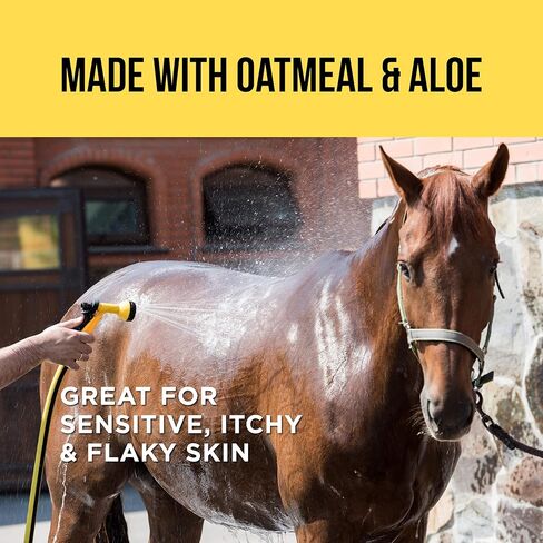 شامبو وبلسم حصان رابورت الطبيعي - الغسول الوحيد الذي تحتاجه الخيول - معالجة كاملة لعرف وذيل الخيول، شامبو/بلسم الحصان (16 أونصة سائلة) in Kuwait