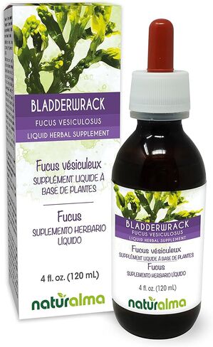 Naturalma Bladderwrack or Sea oak (Fucus vesiculosus) thallus (seaweed) Alcohol-free Tincture - 4 fl oz Liquid extract in drops - Herbal supplement - Vegan in Saudi Arabia