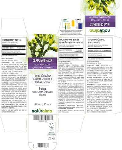 Naturalma Bladderwrack or Sea oak (Fucus vesiculosus) thallus (seaweed) Alcohol-free Tincture - 4 fl oz Liquid extract in drops - Herbal supplement - Vegan in Saudi Arabia