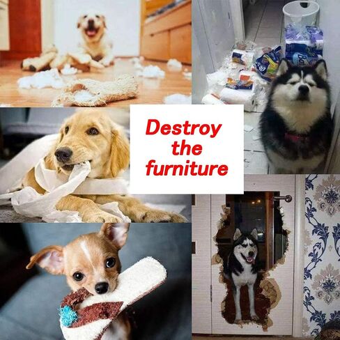 بطانية سنافل للكلاب، حصيرة تفاعلية للحيوانات الاليفة، حصيرة تغذية الانف، موزع طعام، العاب طبيعية للبحث عن الطعام للكلاب الصغيرة والكبيرة والقطط والارانب (افوكادو) in Kuwait