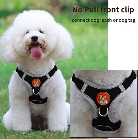 سرج للكلاب الصغيرة، سرج قابل للتعديل للكلاب بدون سحب للكلاب الصغيرة، مجموعة صدرية ومقود للكلاب الصغيرة عاكسة من القماش مع مشبكين للمقود (وردي، صغير) in Kuwait