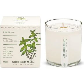 KOBO Somerset Thyme Candle with Plantable Box (9 oz) | Plant The Box Collection, 100% Pure Soy Wax Candles | Hand-Poured in USA | Long Lasting 60 Hour Burning Candles | Scented Candles for Home