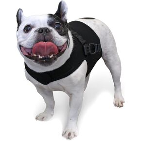 Front Dog Vest Harness | No Pull Harness | Designed for Small Dogs with Broad Chests | Compatible with Dog Wheelchair
