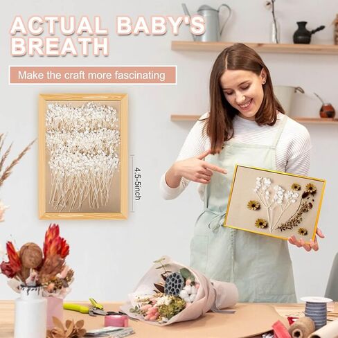 100 قطعة من زهور أنفاس الطفل المجففة والمضغوطة باللون الأبيض - 100% طبيعية 5 بوصات مسطحة وجافة جدًا من فروع زهرة جيبسوفيلا الصغيرة لحفلات الزفاف، إكسسوار الشعر، فن الراتنج الزهري، ديكور حفلات المنزل in Kuwait