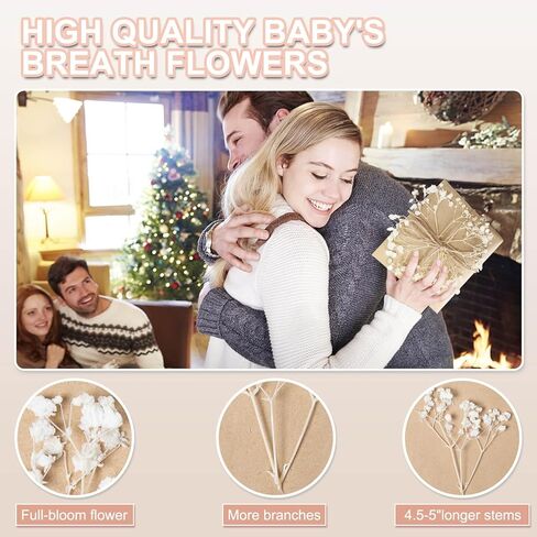 100 قطعة من زهور أنفاس الطفل المجففة والمضغوطة باللون الأبيض - 100% طبيعية 5 بوصات مسطحة وجافة جدًا من فروع زهرة جيبسوفيلا الصغيرة لحفلات الزفاف، إكسسوار الشعر، فن الراتنج الزهري، ديكور حفلات المنزل in Kuwait
