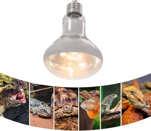 WACOOL مصباح الحرارة للزواحف UVA UVB ضوء الزواحف الكل في واحد، محاكاة كامل الطيف لمبة أشعة الشمس للزواحف البرمائية السلحفاة ثعبان أبو بريص التنين الملتحي الاستخدام in Kuwait