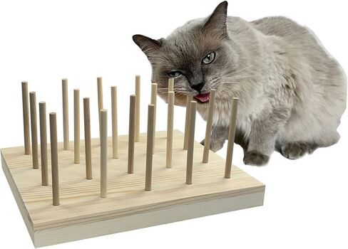 24 قطعة من عصا مضغ القطط من AAiphuwew، لعبة مضغ للقطط لتسنين القطط، لعبة أسنان خشبية تفاعلية للقطط للقطط الداخلية in Kuwait