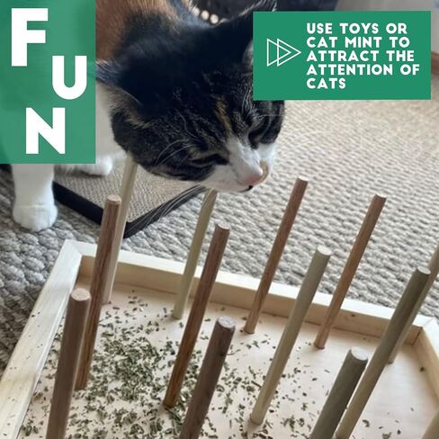 24 قطعة من عصا مضغ القطط من AAiphuwew، لعبة مضغ للقطط لتسنين القطط، لعبة أسنان خشبية تفاعلية للقطط للقطط الداخلية in Kuwait