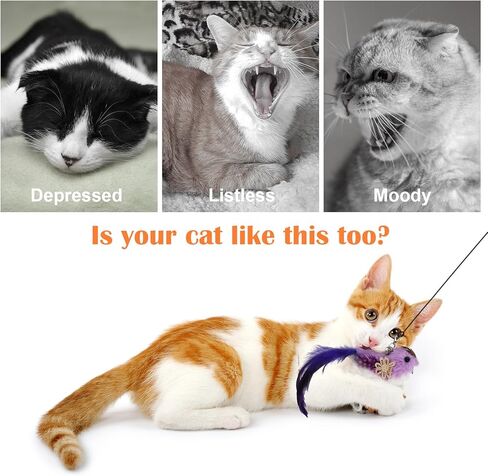 XLSXEXCL 5 قطع لعبة ريشة القطط، لعبة طيور القطط، لعبة الطيور الطائرة للقطط، لعبة تفاعلية للقطط، عبوات لعبة الطيور للقطط، ألعاب الطيور البديلة السداة in Kuwait