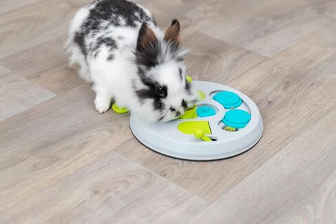 TRIXIE Hide N Slide Rabbit Activity - Small Animal Interactive Toy for Mental Stimulation, Enrichment, Hide and Seek, Brain Teaser, Enhances Cognitive Development in Saudi Arabia