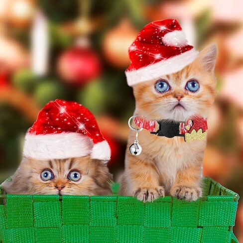 8 Pieces Christmas Cat Collar Adjustable Kitten Christmas Collar Cat Breakaway Collars with with Removable Santa Claus Christmas Tree Snowman Stocking Charm and Bell for Cat Christmas Party, 8 Styles in Saudi Arabia