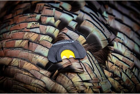 Power Calls Higdon Outdoors Yelper Turkey Call in Saudi Arabia