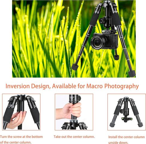 Fotopro Mini Tripod with Ball Head Phone Mount Detachable Selfie Stick Folded only 8.6" Max Load up to 6.6 lbs FY-810 Black in Kuwait