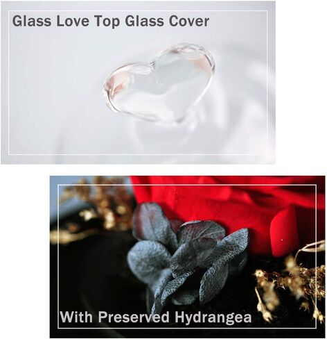 Eternal Rose Preserved Flowers, Handmade Real Forever Flowers, Never Withered Roses Gift for Valentine's Day Mother's Day Christmas Anniversary New Year Birthday Thanksgiving for Mom Wife Friend in Kuwait