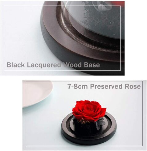 Eternal Rose Preserved Flowers, Handmade Real Forever Flowers, Never Withered Roses Gift for Valentine's Day Mother's Day Christmas Anniversary New Year Birthday Thanksgiving for Mom Wife Friend in Kuwait