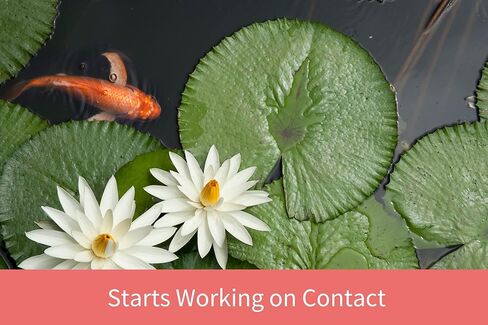 شفاطة شعير سائل كنوت آند شل للبحيرات وأحواض الأسماك - آمنة للأسماك والنباتات والحيوانات الأليفة وبركة الحياة البرية - تقلل بشكل طبيعي من النترات والفوسفات - 473 مل in Kuwait